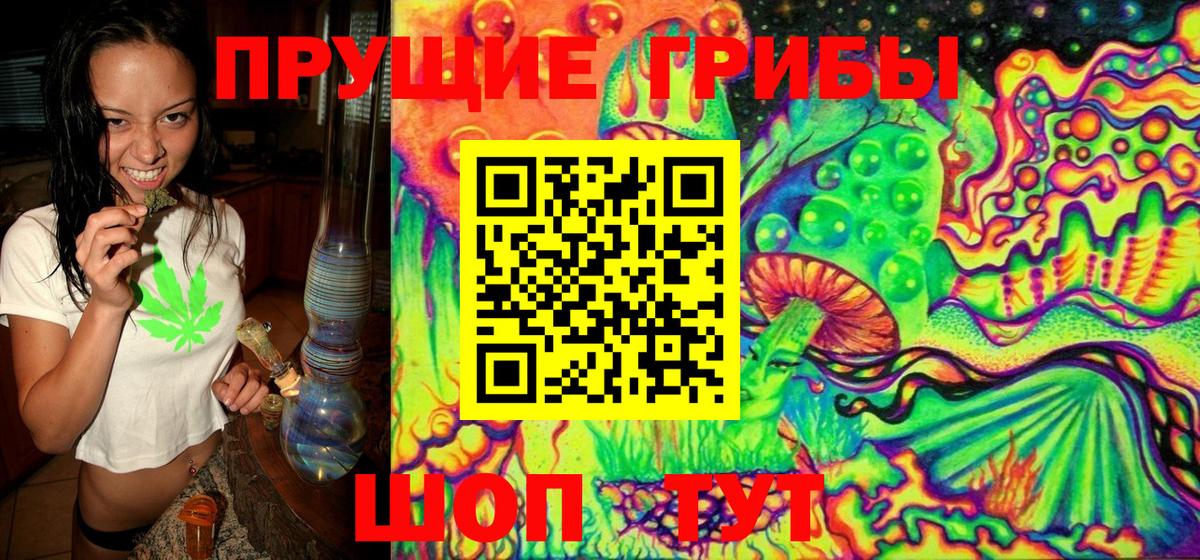 Галлюциногенные грибы Psilocybe Севастополь